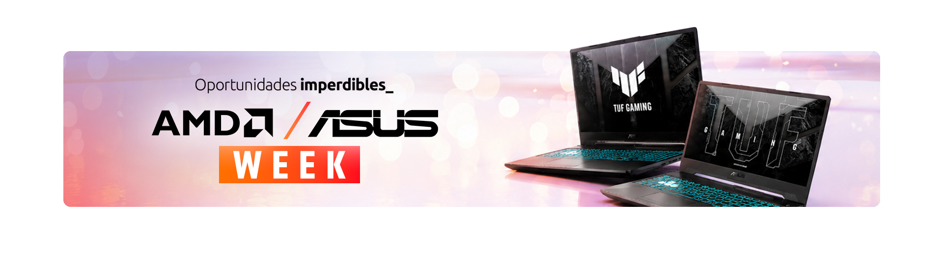 AMD ASUS WEEK