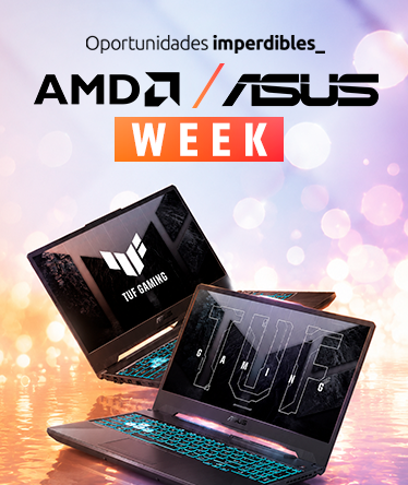 Principal-IMB5-Desktops / AIO-SKU:AMD ASUS WEEK